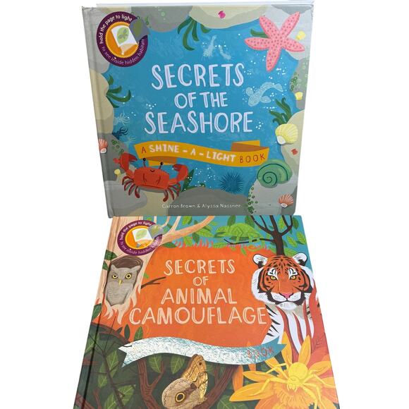 Usborne Other - Usborne Shine a Light Book Bundle